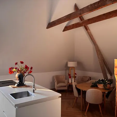 Het Oude Gemeentehuis Διαμέρισμα Angerlo
